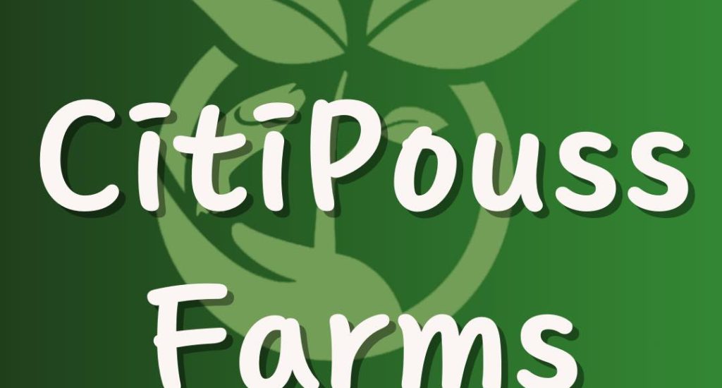 485807163_624241303773957_8810823750124343456_n 